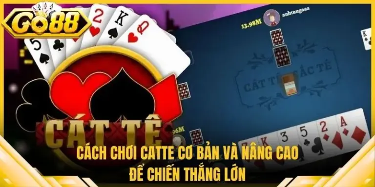 Cách Chơi Catte Cơ Bản Và Nâng Cao Để Chiến Thắng Lớn