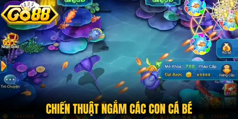 Chiến thuật ngắm các con cá bé