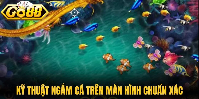 Kỹ thuật ngắm cá trên màn hình chuẩn xác