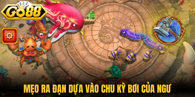 Mẹo ra đạn dựa vào chu kỳ bơi của ngư