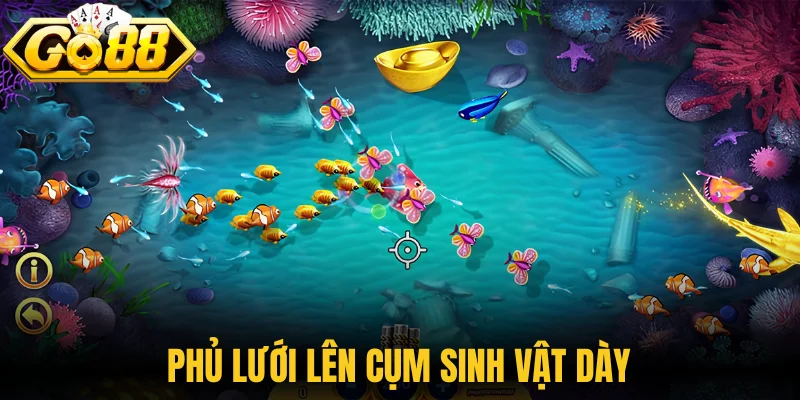 Phủ lưới lên cụm sinh vật dày 