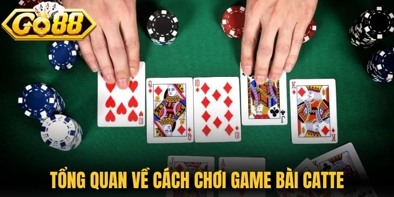 Tổng quan về cách chơi game bài Catte